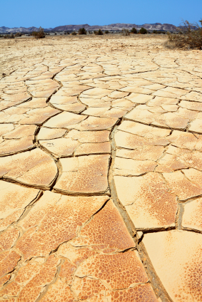 Drought essay